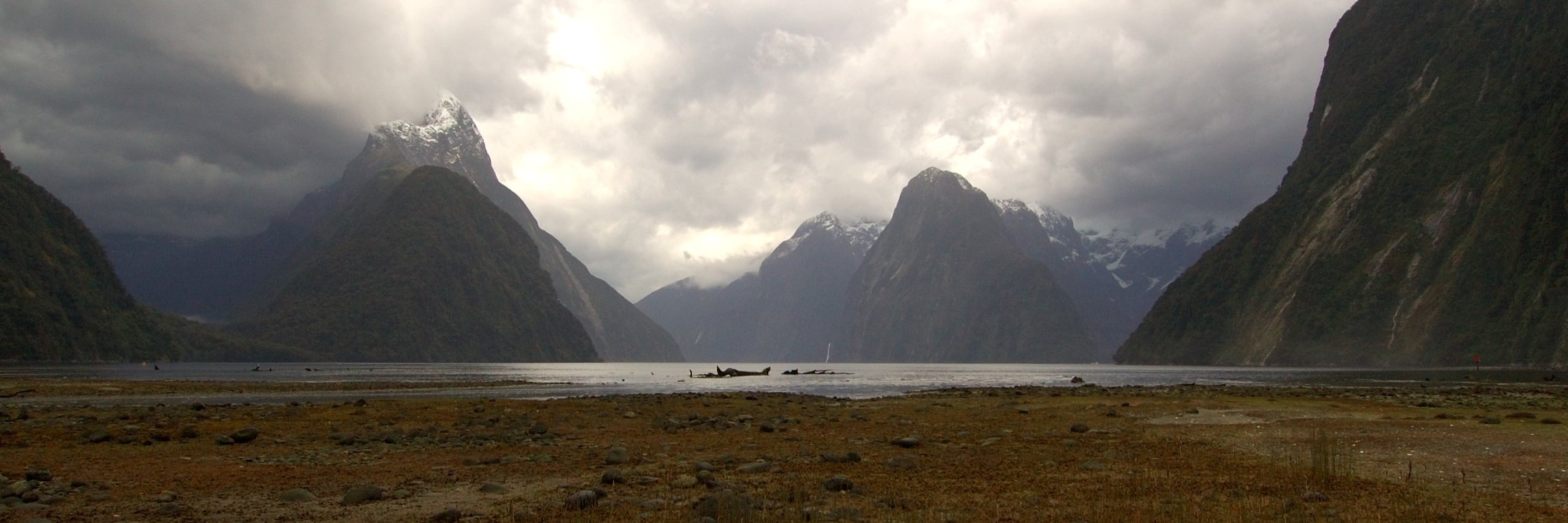 MilfordSound_NZ's profile banner image