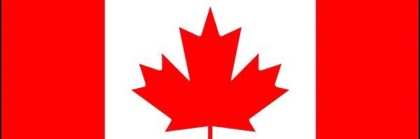 Sunshine & Sass banner