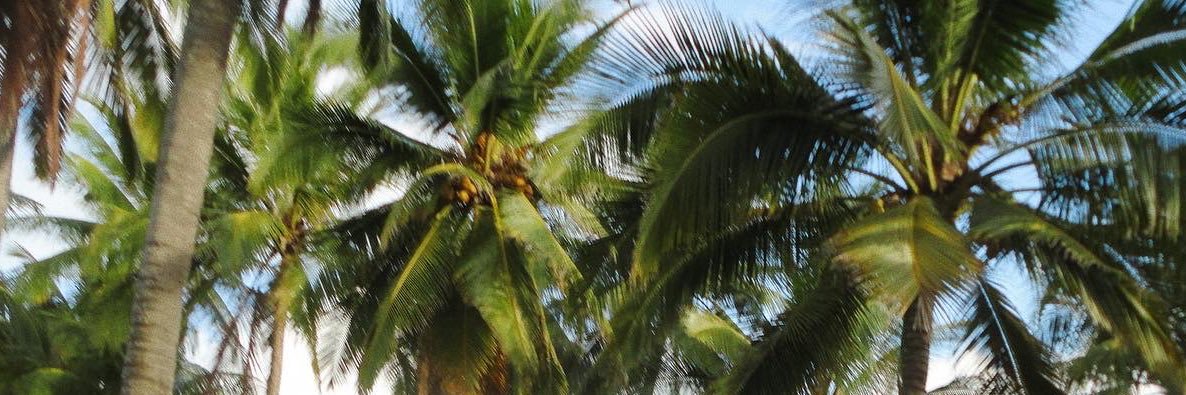 aissaanali's profile banner image
