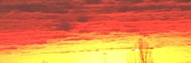 seaGG294's profile banner image