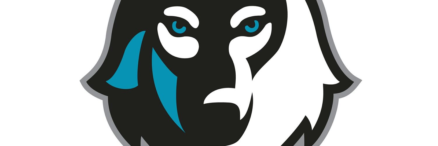 WolvesStore banner