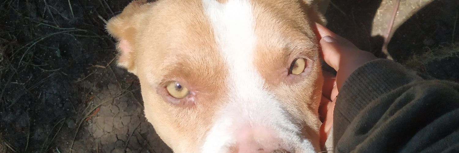 marguegu's profile banner image