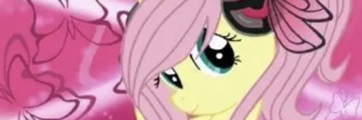 shifidg's profile banner image