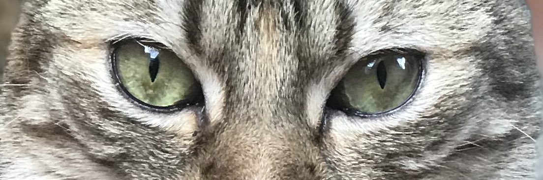yamilalezcano19's profile banner image