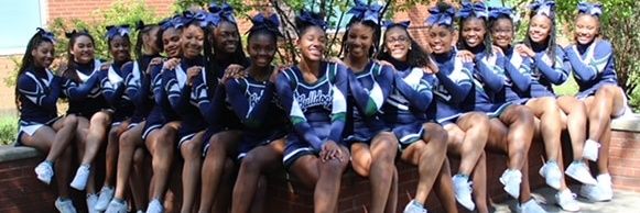 SRMHScheer's profile banner image