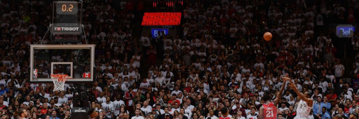 Professional Punter banner