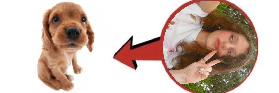 ioio !! bangteezbola banner