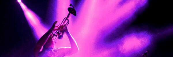 festivalea Profile Banner