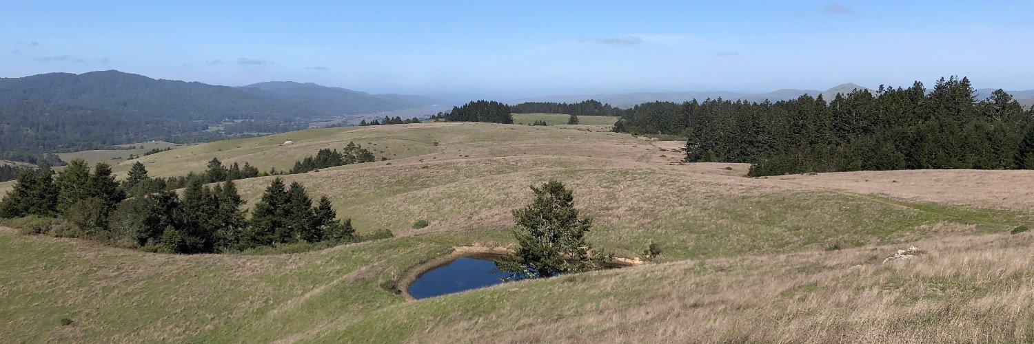 TOGETHER Bay Area banner