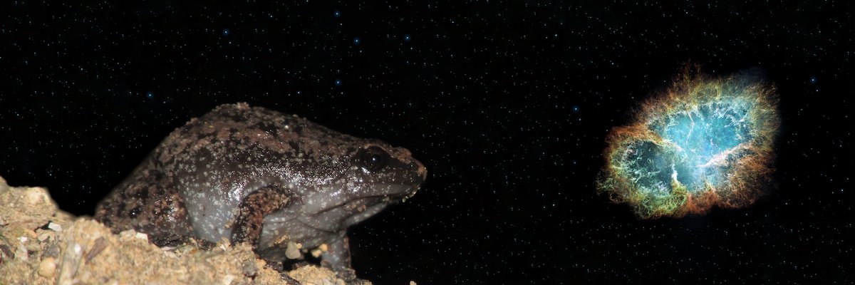 muddynat's profile banner image