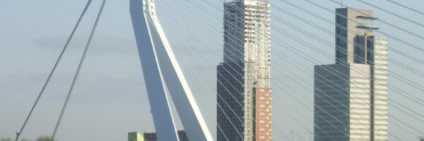 Rodebo Profile Banner