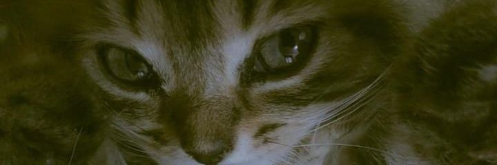 مي 🧚‍♀️🧘‍♀️⚱️ banner