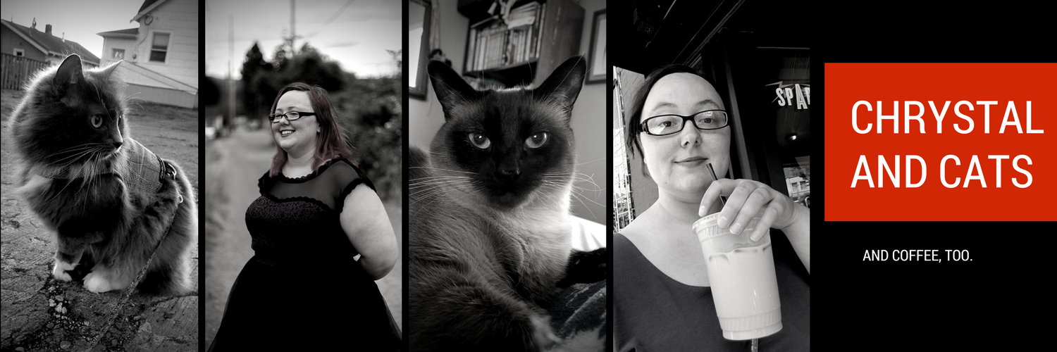 ChrysDoucette's profile banner image