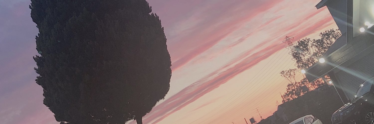 Alt__chan's profile banner image