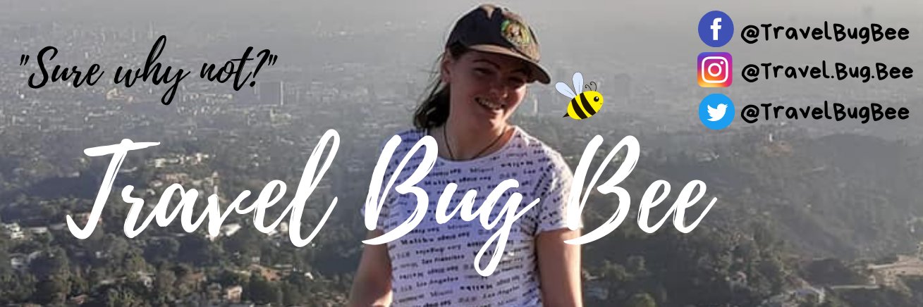 ✈Travel Bug Bee🐝 banner