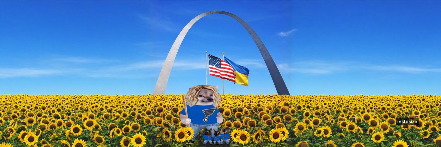 🇺🇸Crazy Cat Lady Fella🇺🇦 banner