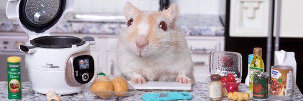 GerbMeetsMouse Profile Banner