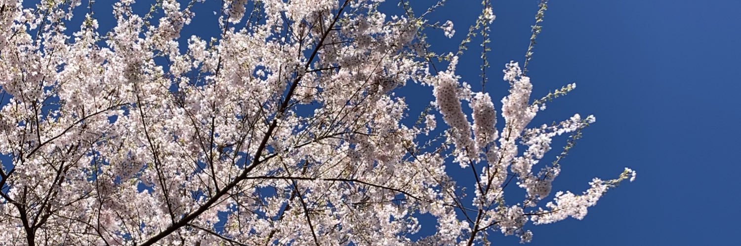 Emily Martindale banner