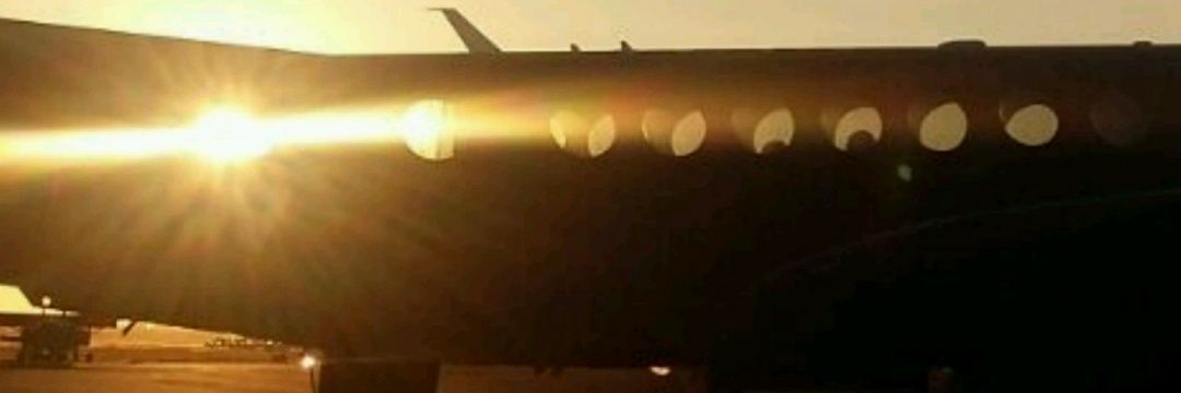 Aavs banner