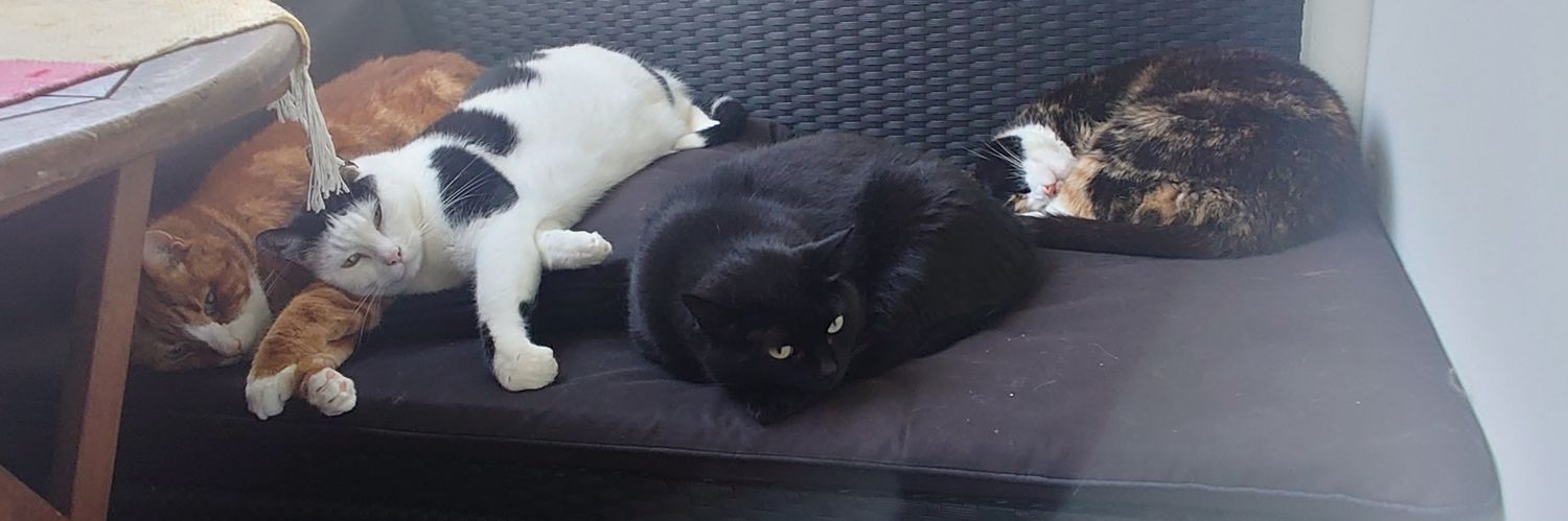 Rafurie🇺🇦🇸🇪 banner