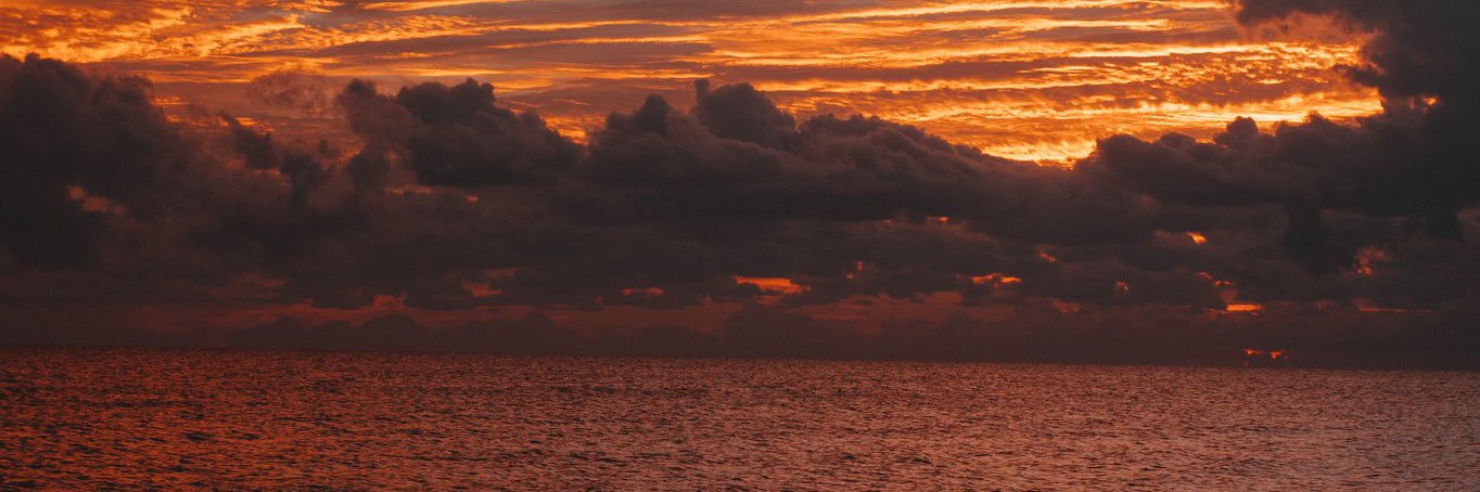 LarryFishman98's profile banner image
