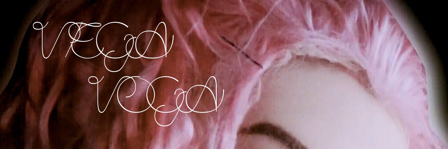 narumi herisson / vega voga 🇯🇵🇫🇷音楽家 banner