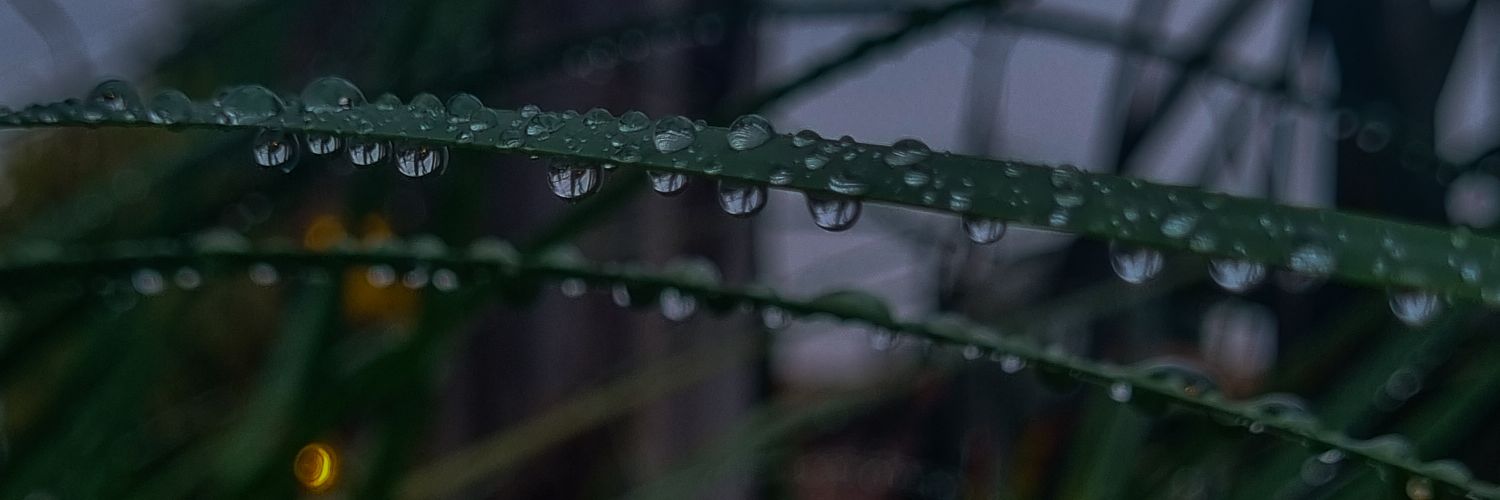 SMackfarlane's profile banner image