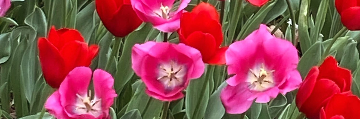 Dys_myshit's profile banner image