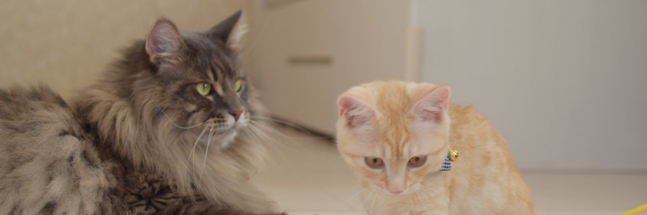 m3_mgmg's profile banner image