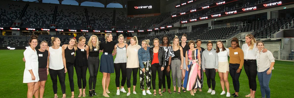 Minerva Network banner