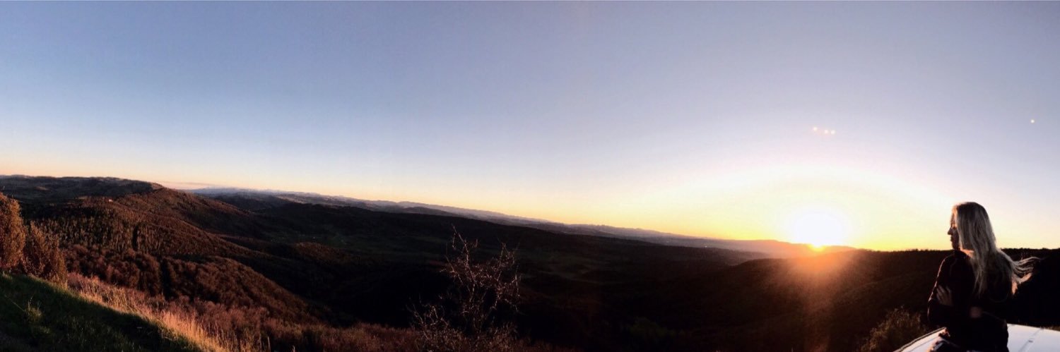 lily_petersen's profile banner image