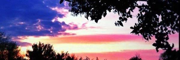 DevinWooton's profile banner image