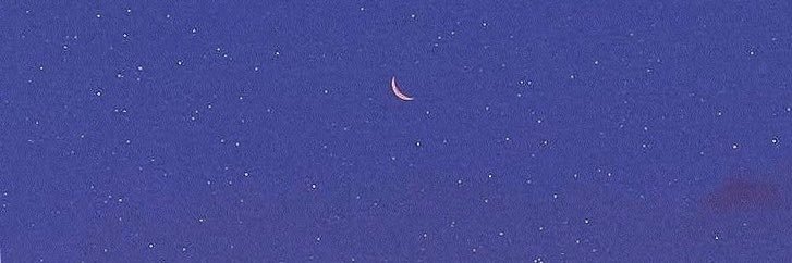 MsMaterielle's profile banner image