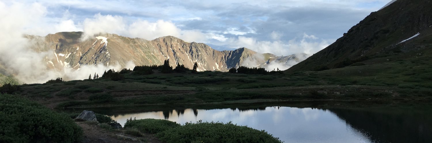 Karli Venable banner