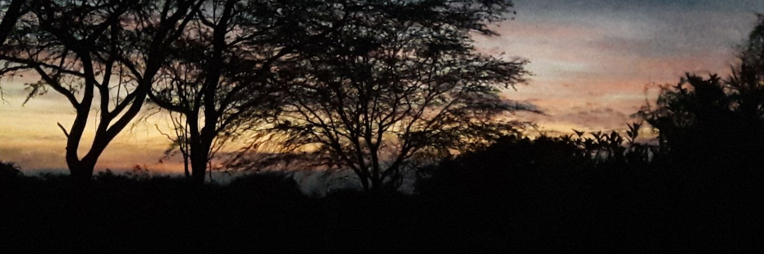 may_r's profile banner image