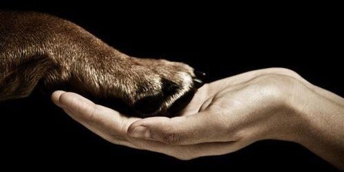 Kikearay's profile banner image