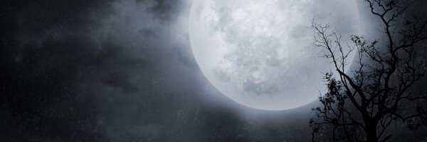 Blake_yami Profile Banner