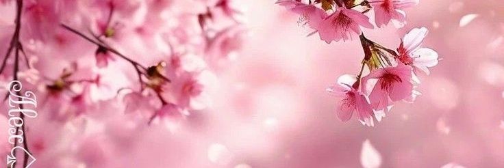 Daylight_89's profile banner image