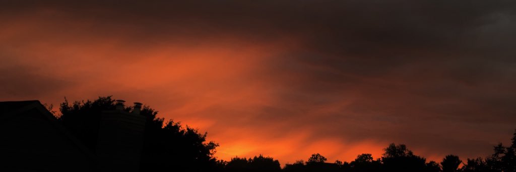 ShanksFanClub's profile banner image