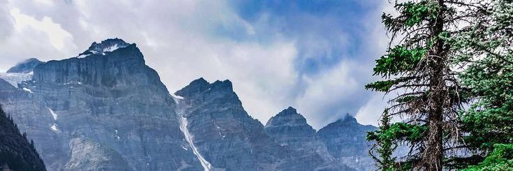 C banner