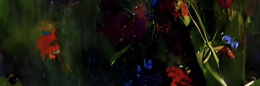 NoviFtria's profile banner image