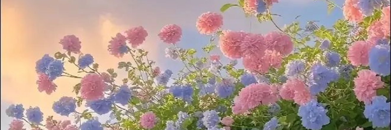 BBCₕ ~ ᧔ෆ᧓ banner