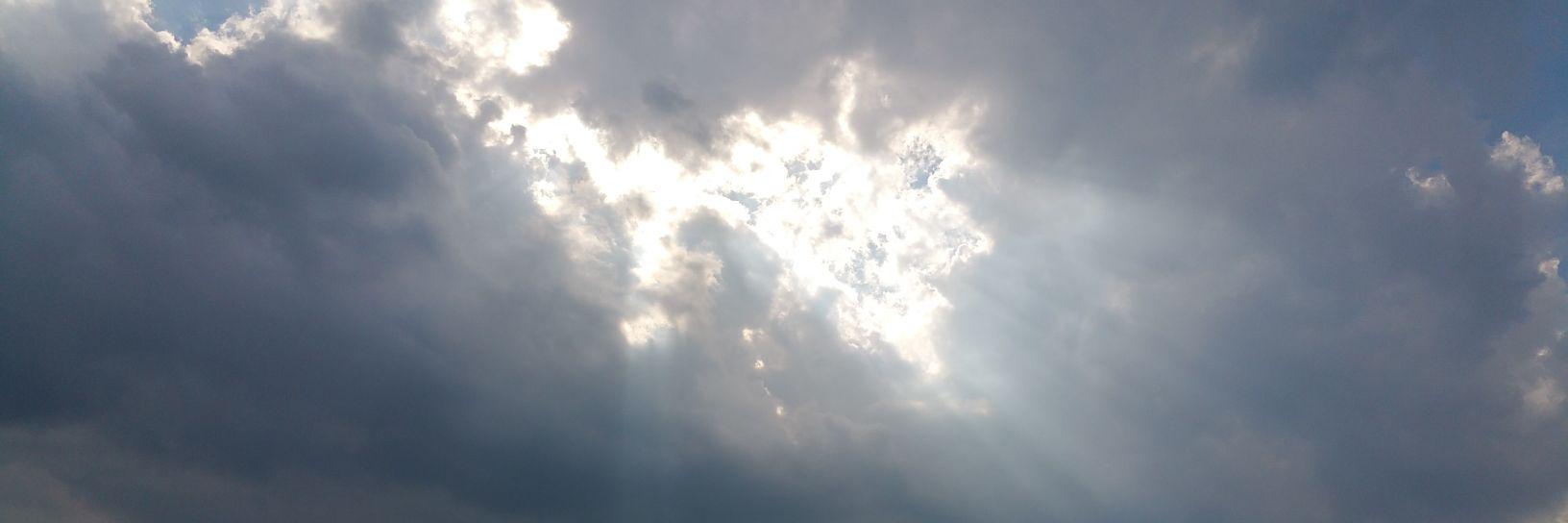 Warren Porter banner