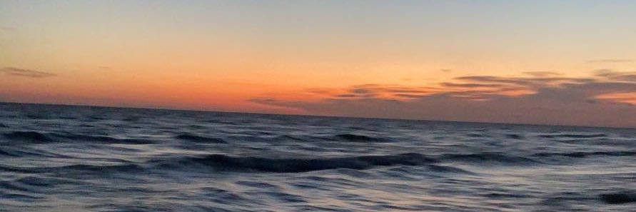 MorrisonWhitney's profile banner image