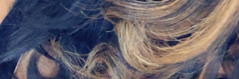 litaslane's profile banner image