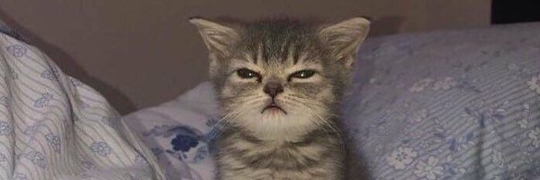 everalonex Profile Banner