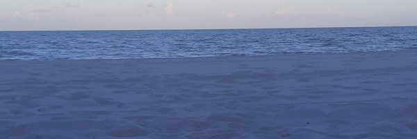 marquidel60 Profile Banner