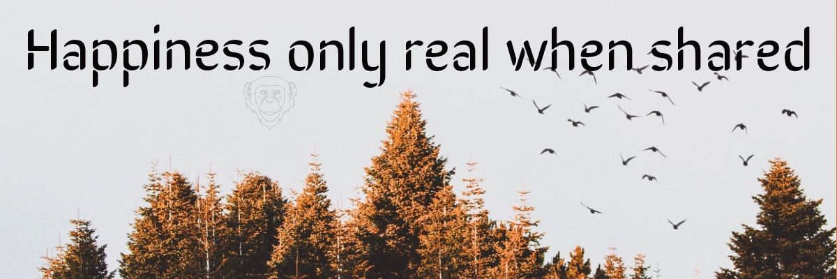 cristeev's profile banner image