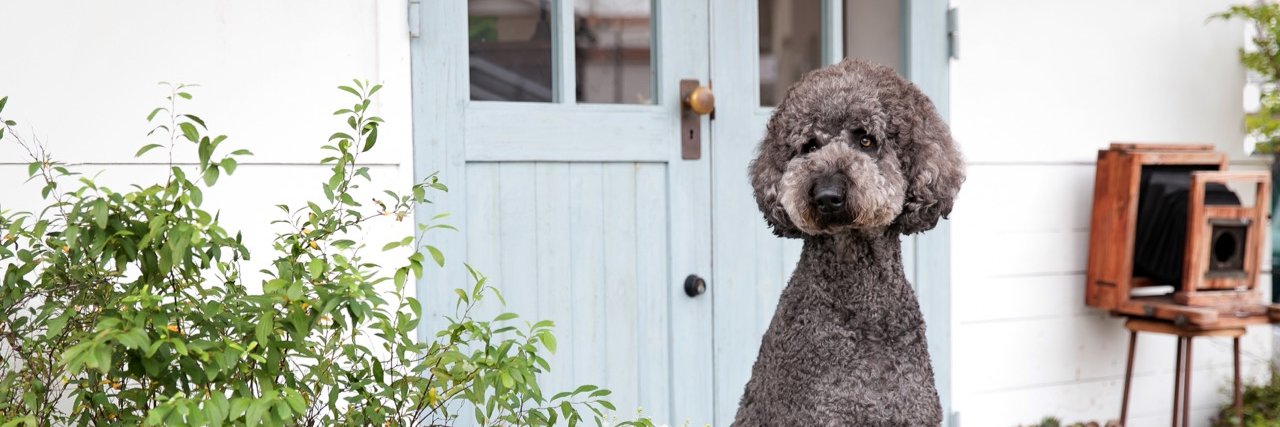 chiko_van's profile banner image