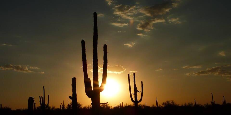 AZduderanches's profile banner image